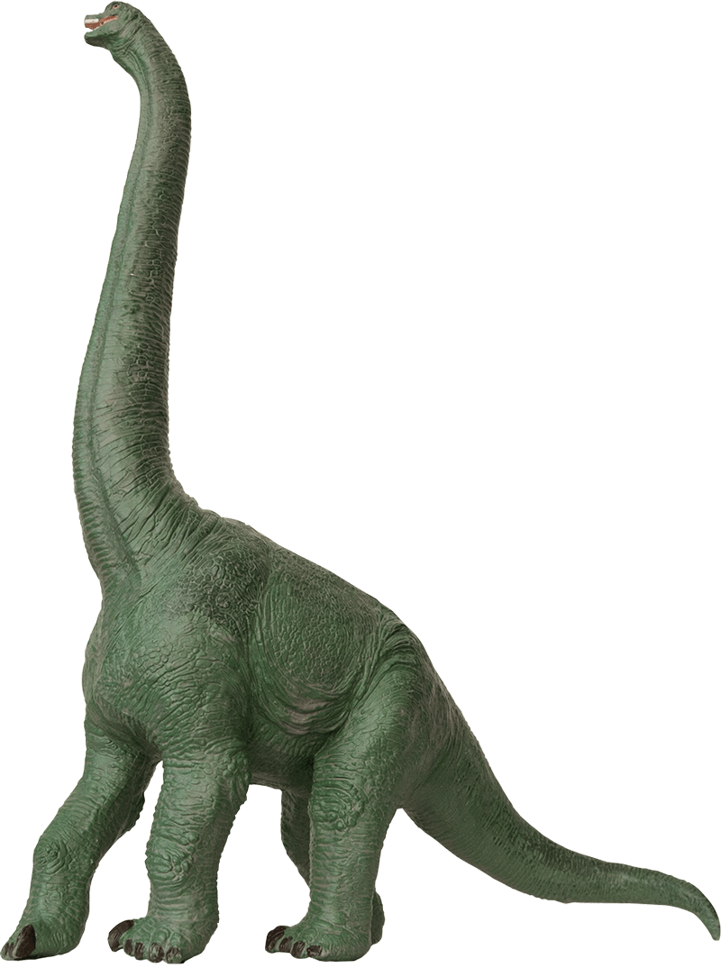 Brachiosaurus. Foto: Annica Roos, NRM
