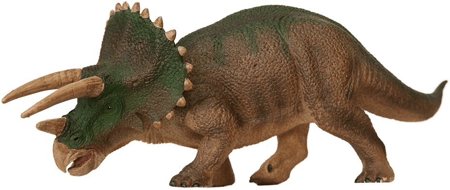 Triceratops. Foto: Annica Roos, NRM