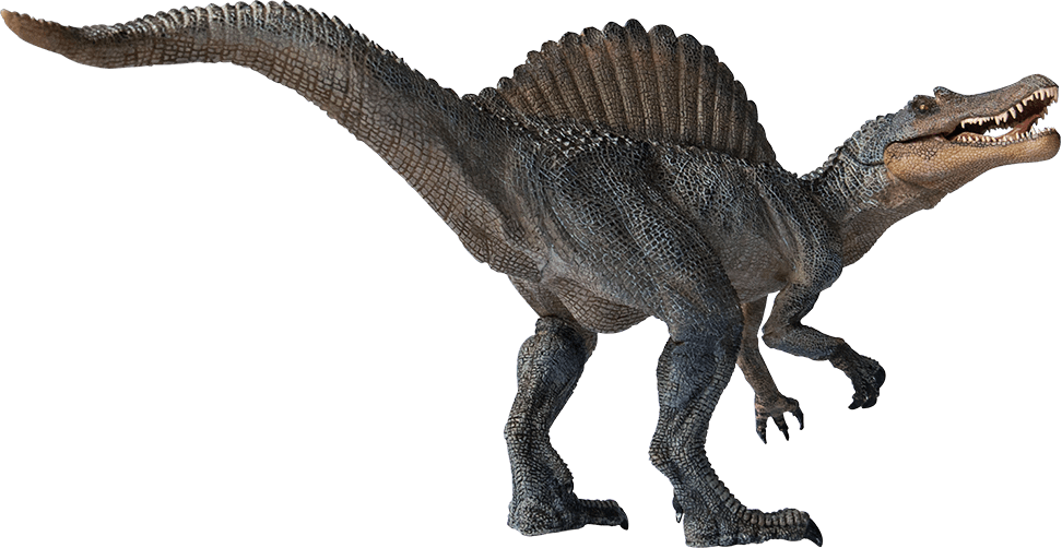 Spinosaurus. Foto: Annica Roos, NRM